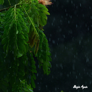 china末成年video学生
