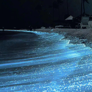 china末成年video学生
